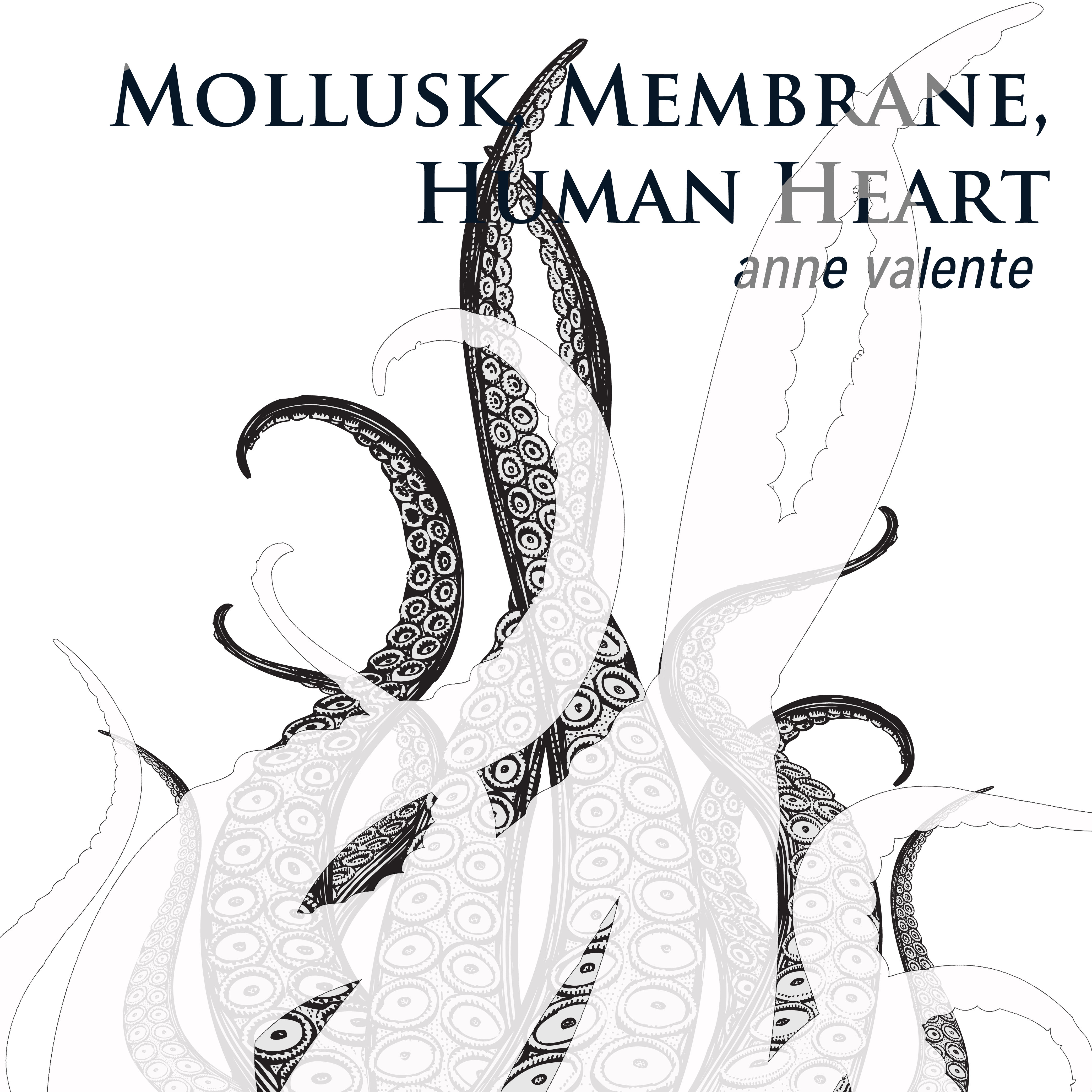 Stories That Teach: “Mollusk, Membrane, Human Heart” by Anne Valente – Discussed by Sadye Teiser