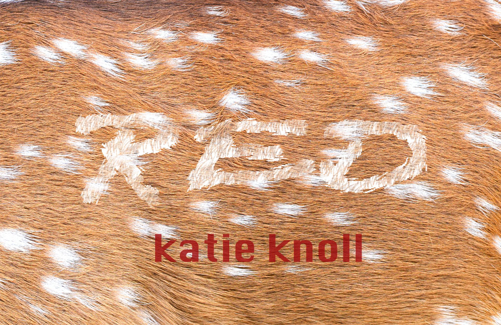 Summer Short Story Award 1st Place: “Red” by Katie Knoll
