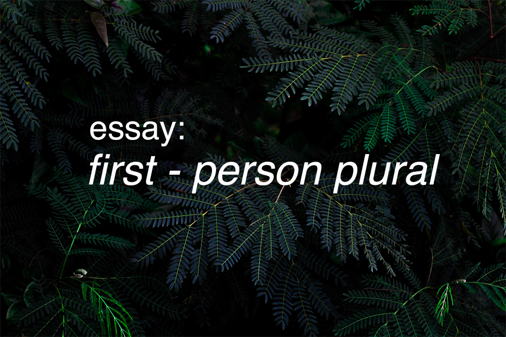 First Person Plural Examples In Sentence