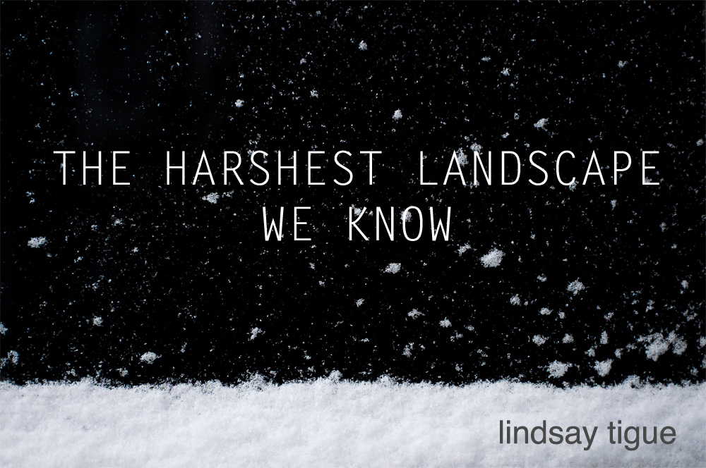 New Voices:  “The Harshest Landscape We Know” by Lindsay Tigue