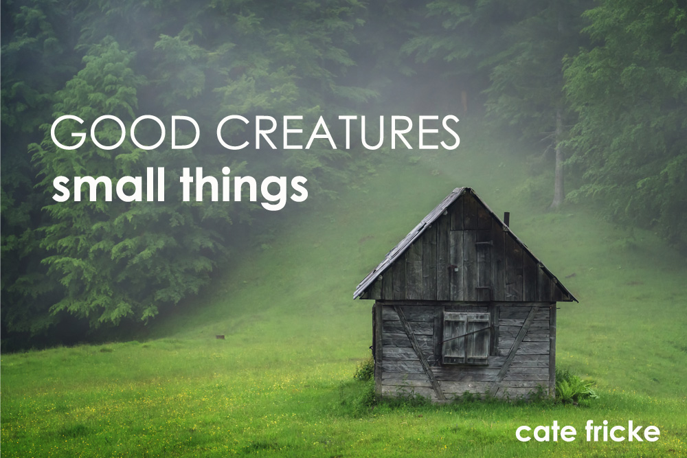 Fall Fiction Contest 3rd Place: “Good Creatures, Small Things” by Cate Fricke