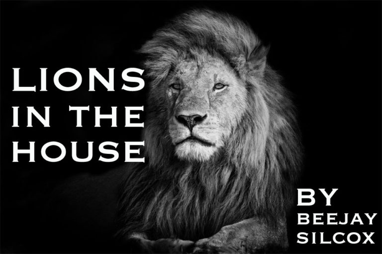 a lion in the house netflix