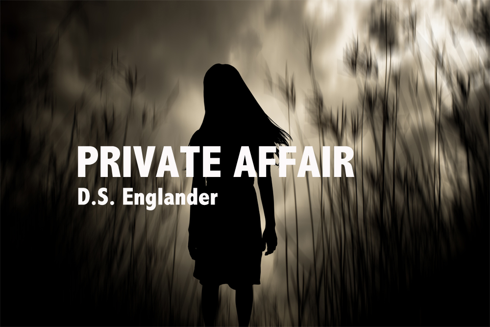 New Voices: “Private Affair” by D.S. Englander