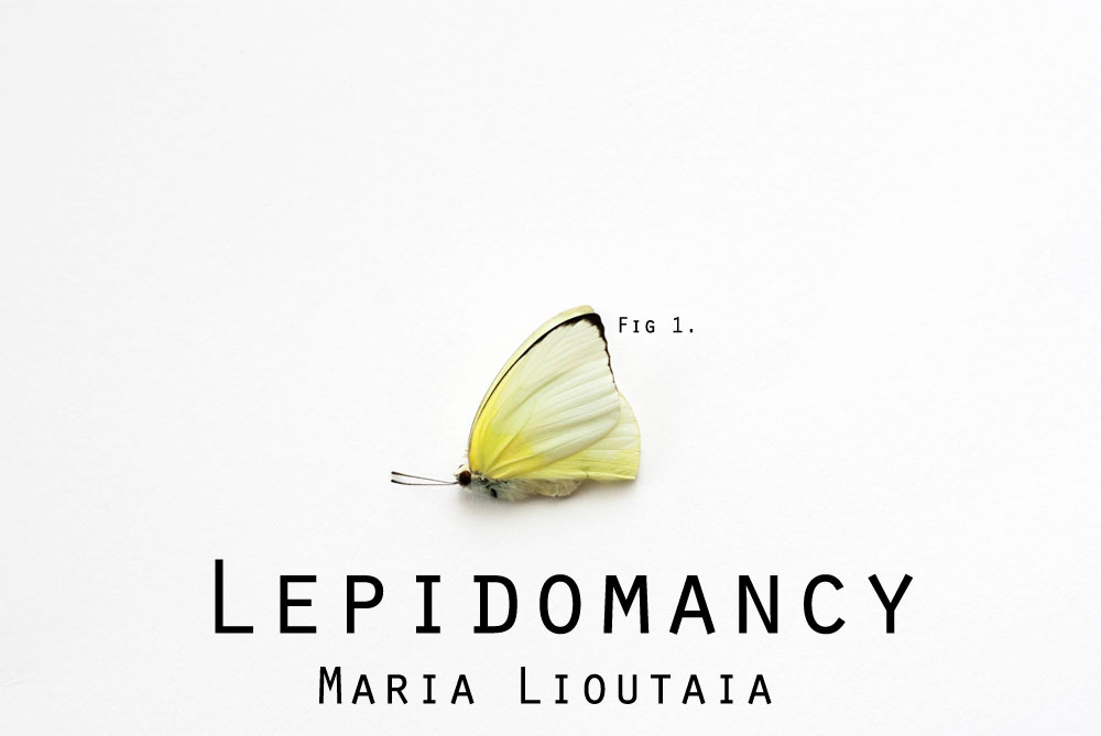 Fall Fiction Contest 2nd Place: “Lepidomancy” by Maria Lioutaia