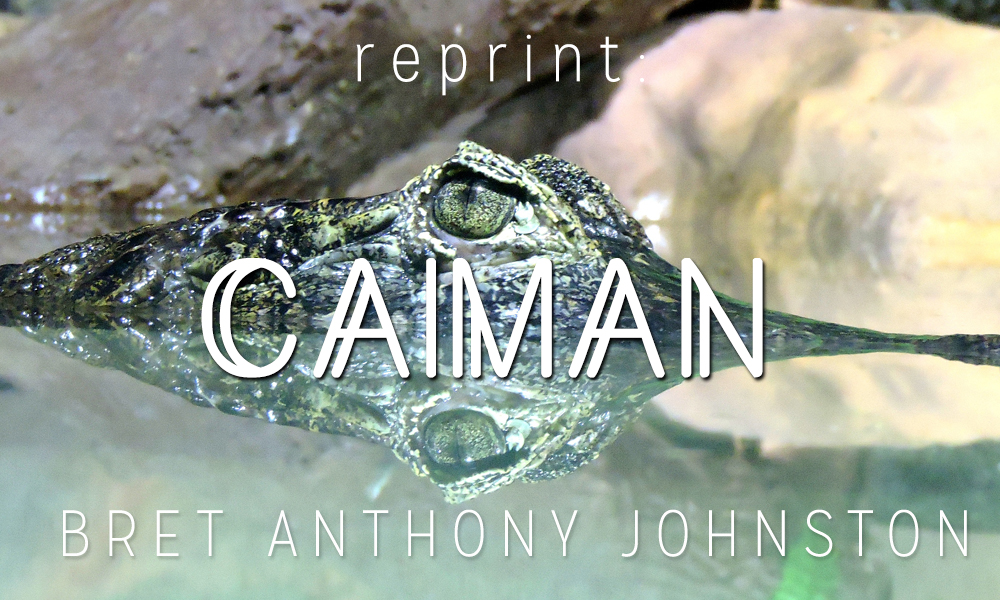 Reprint: “Caiman” by Bret Anthony Johnston