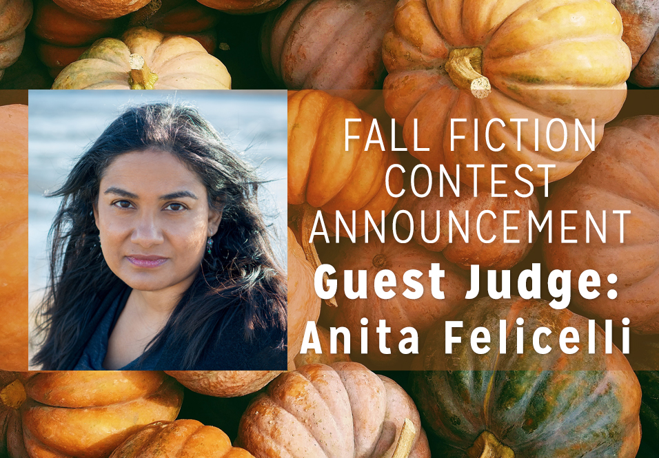 Introducing Our Fall Fiction Contest Judge: Anita Felicelli!