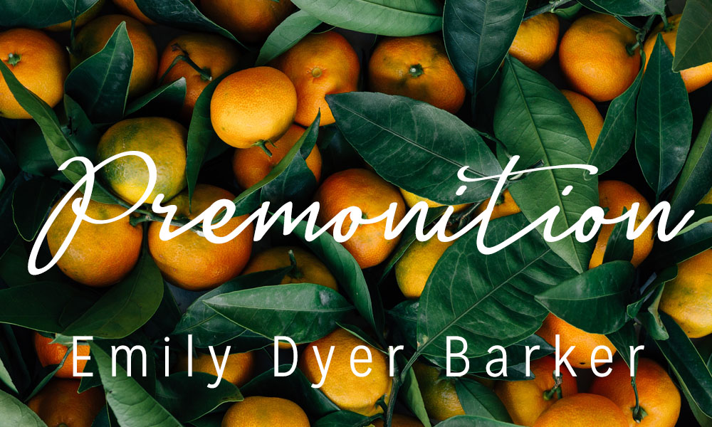 New Voices: “Premonition” by Emily Dyer Barker