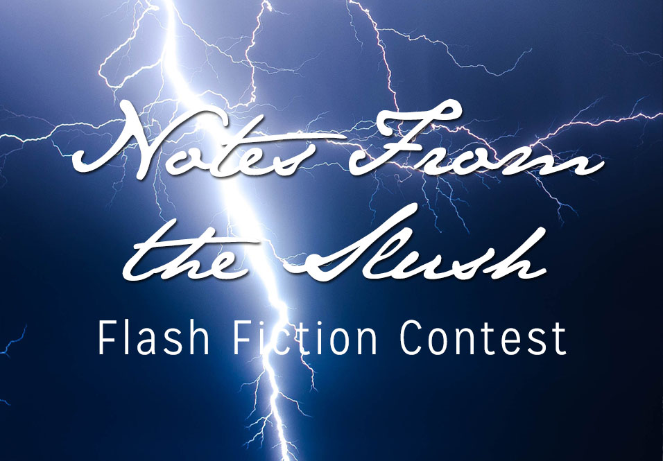 Notes from the Slush: 2019 Flash Fiction Contest
