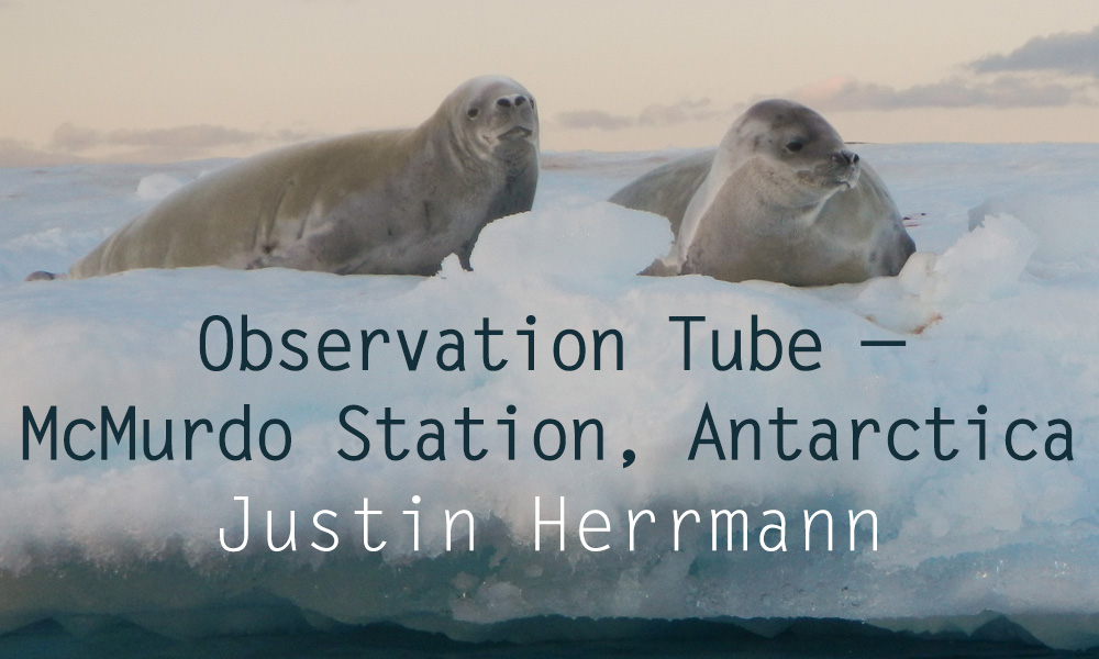 Flash Fiction Contest Honorable Mention: “Observation Tube—McMurdo Station, Antarctica” by Justin Herrmann