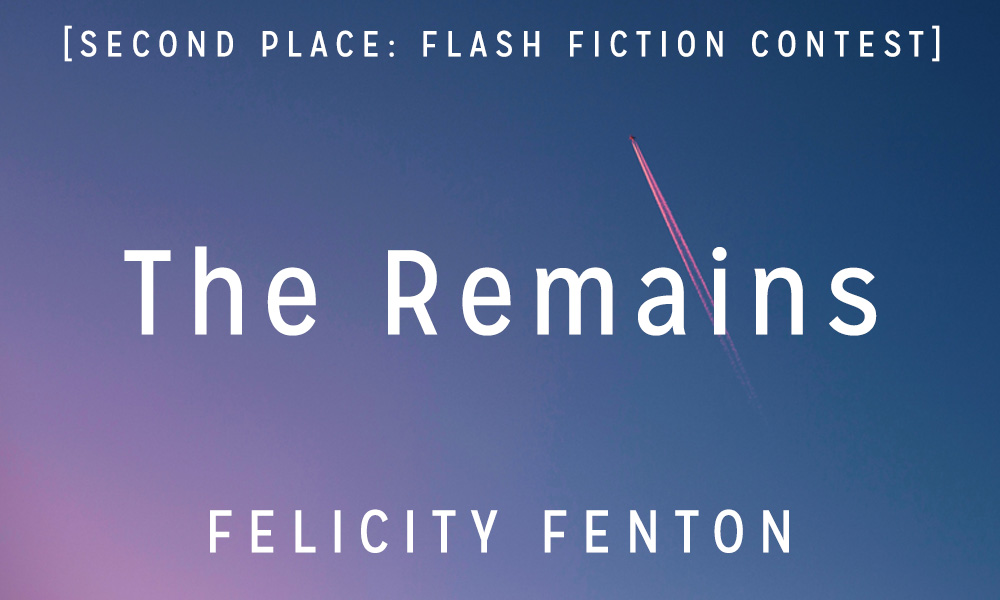 Flash Fiction Contest 2nd Place: “The Remains” by Felicity Fenton