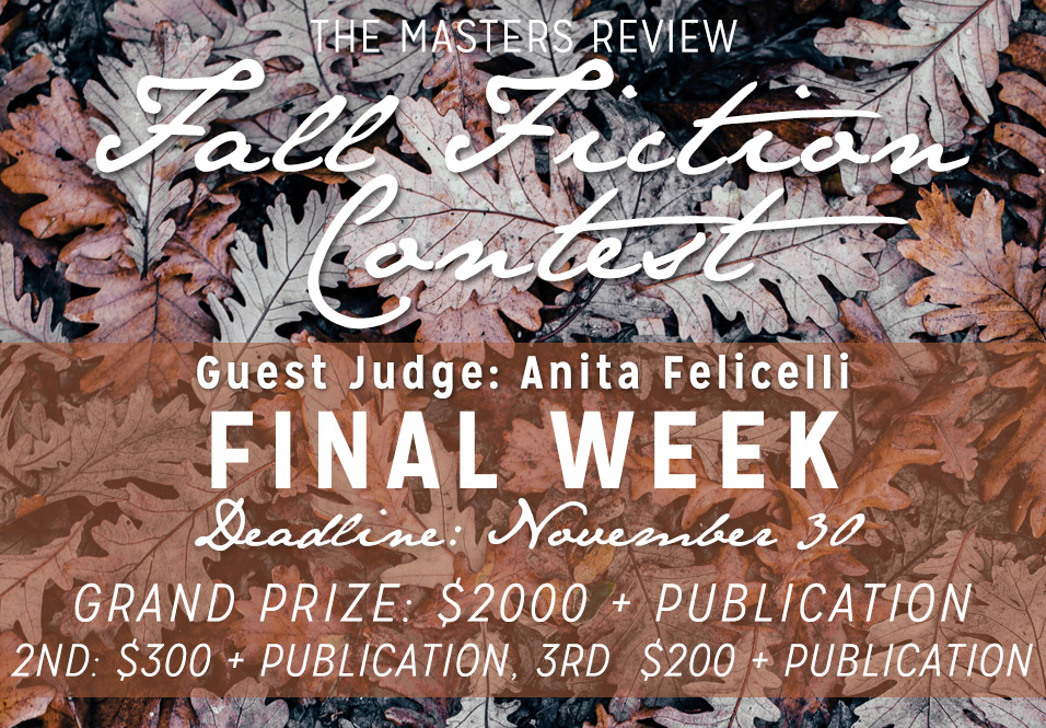 One Week Left! Submit Now to the Fall Fiction Contest, Judged by Anita Felicelli—$2000 Prize!