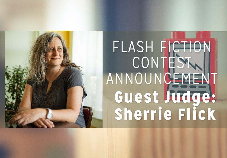 Introducing our Flash Fiction Contest Judge: Sherrie Flick!