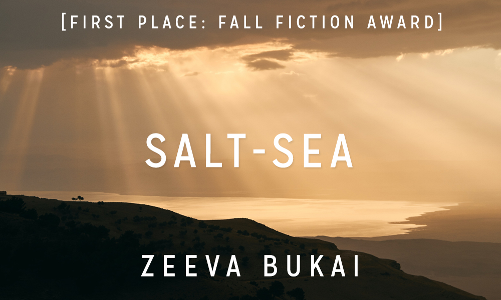 Fall Fiction Contest 1st Place: “Salt-Sea” by Zeeva Bukai