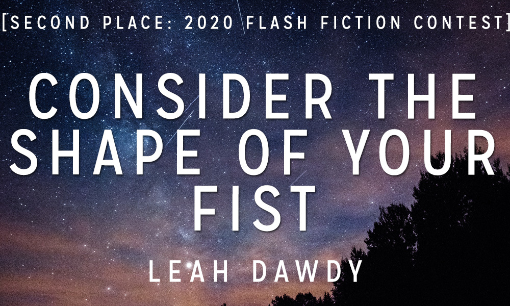 Flash Fiction Contest 2nd Place: “Consider the Shape of Your Fist” by Leah Dawdy