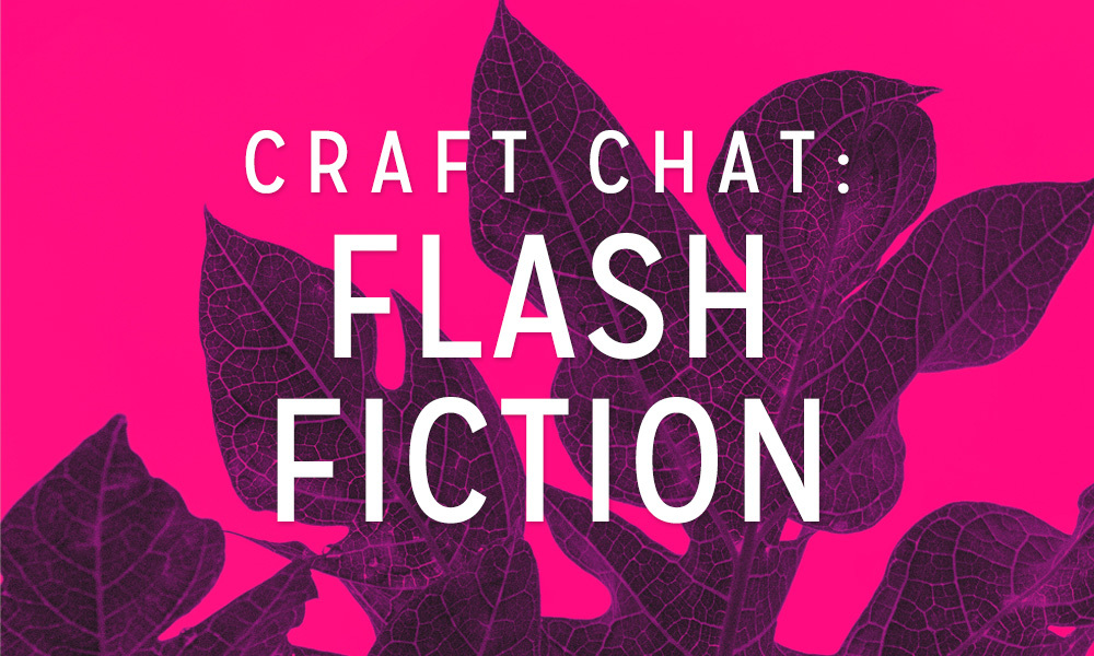 Craft Chat: Flash Fiction