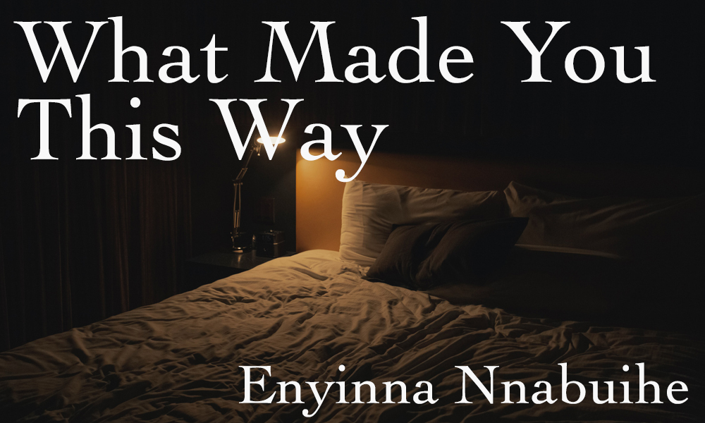 New Voices: “What Made You This Way” by Enyinna Nnabuihe