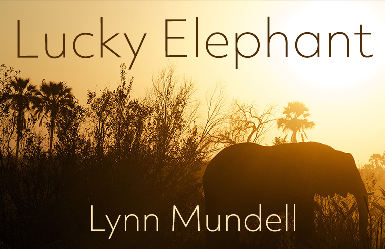 New Voices: “Lucky Elephant” by Lynn Mundell
