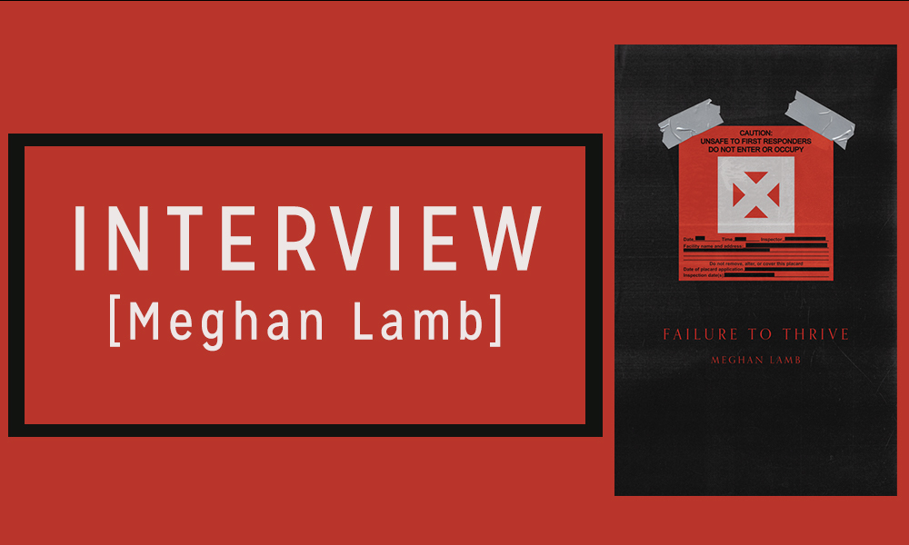 Interview with Meghan Lamb, Author of Failure to Thrive