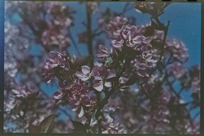 The 2025 Reprint Prize Winner & Shortlist