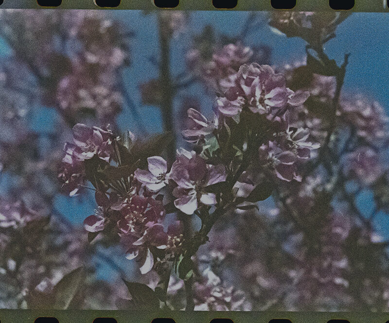 The 2025 Reprint Prize Winner & Shortlist