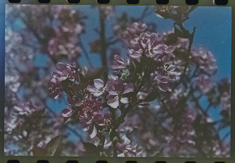 The 2025 Reprint Prize Winner & Shortlist