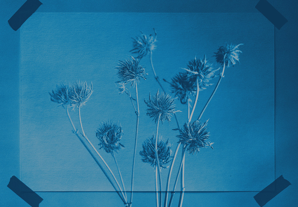 The Reprint Prize: June 15 – June 30, 2026