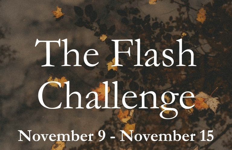 The Flash Challenge: November 10 – November 23, 2025