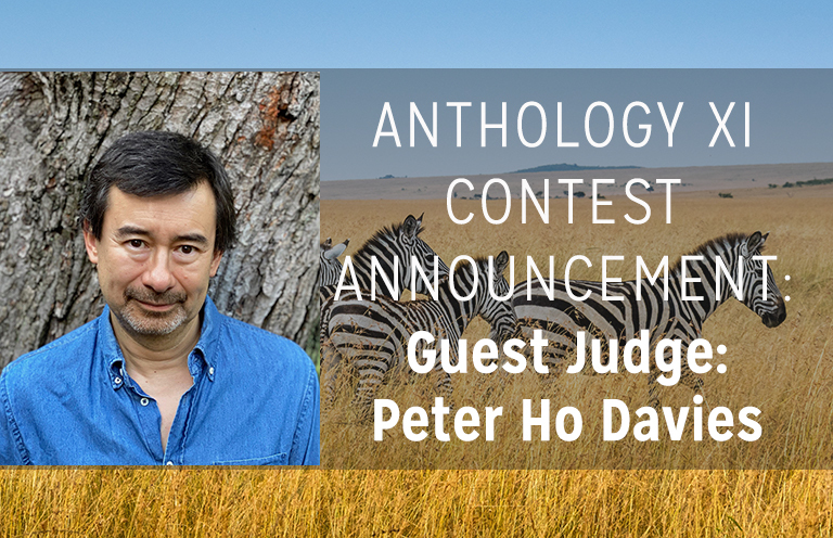 Announcing Peter Ho Davies as Guest Judge for The Masters Review Vol. XI!