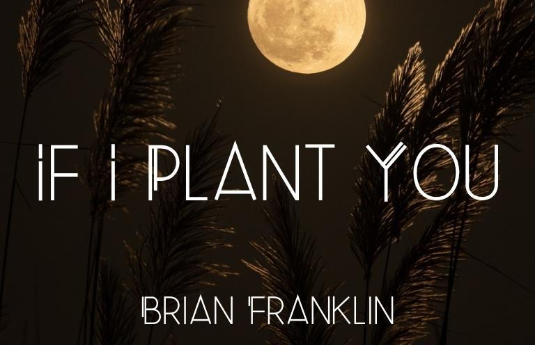 New Voices: “If I Plant You” by Brian Franklin