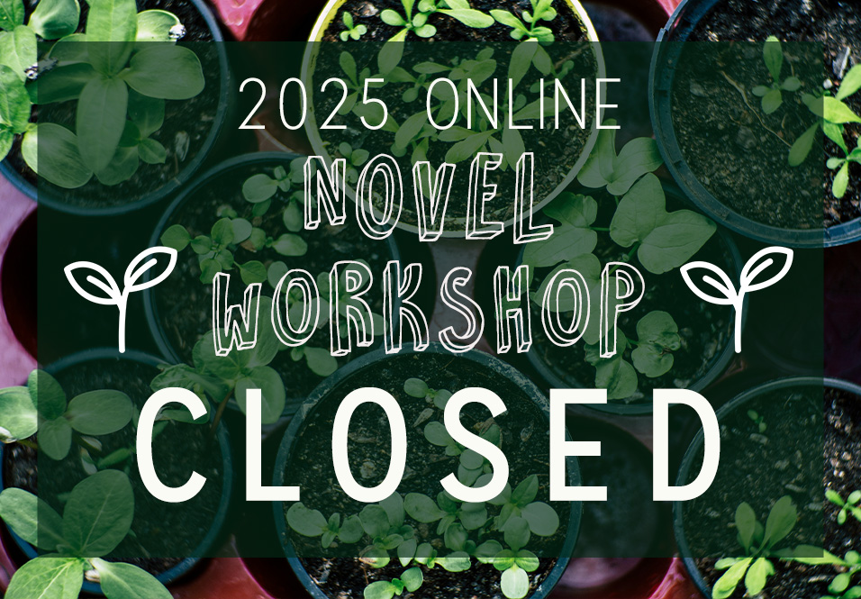 The Masters Review Novel Workshop: April 1 – May 1, 2025
