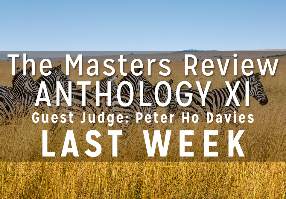One Week Left to Submit: Anthology XI, Guest Judged by Peter Ho Davies!
