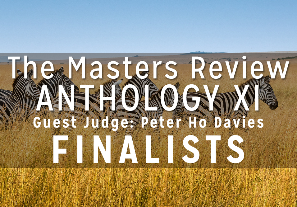 Anthology XI Finalists, Selected by Peter Ho Davies!