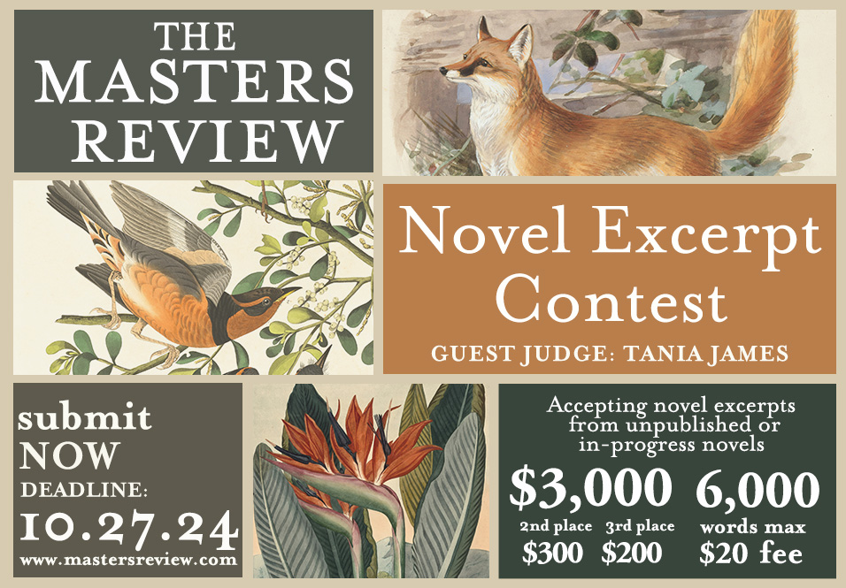 Novel Excerpt Contest: August 28 – October 27, 2024