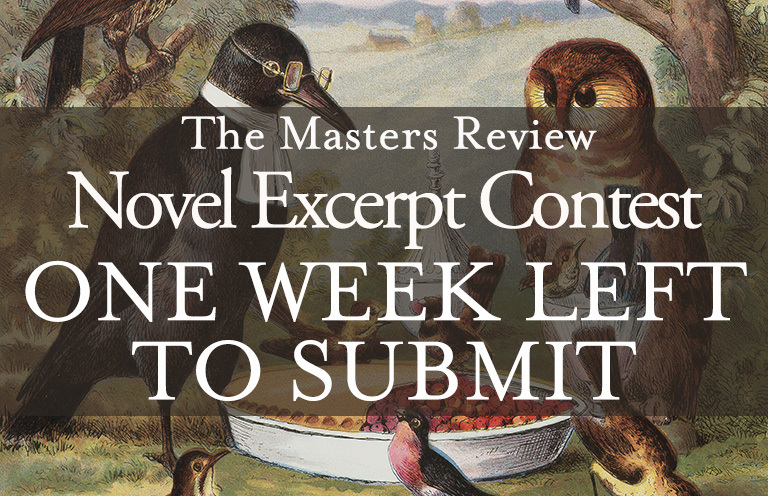 One Week Remaining: 2022 Novel Excerpt Contest