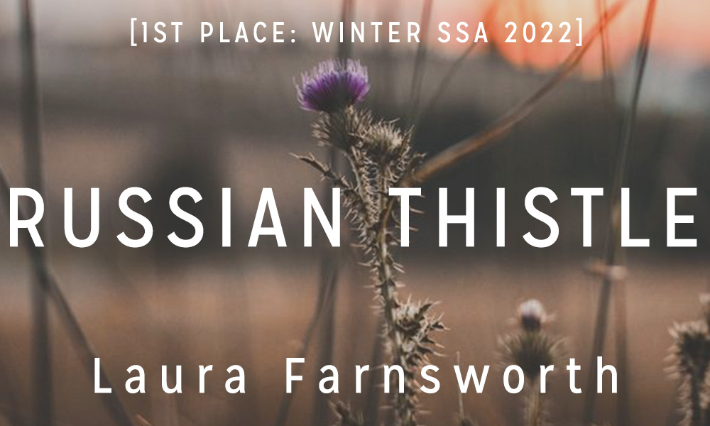 Winter Short Story Award 1st Place: “Russian Thistle” by Laura Farnsworth