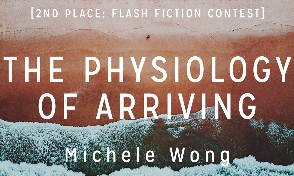 Flash Fiction Contest 2nd Place: “The Physiology of Arriving” by Michele Wong