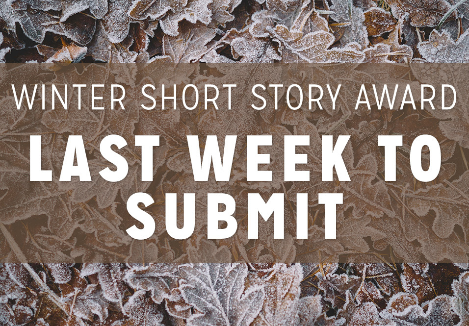 The Masters Review’s Winter Short Story Award for New Writers, Judged by Morgan Talty: Final Week!