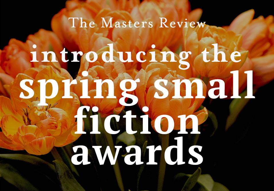 Introducing the Spring Small Fiction Awards!