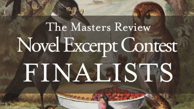 2022 Novel Excerpt Contest Finalists!