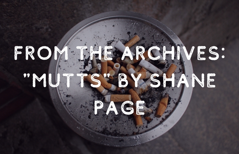 From the Archives: “Mutts” by Shane Page—Discussed by Melissa Bean