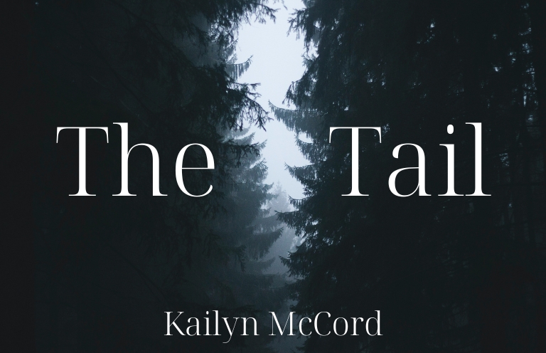 New Voices: “The Tail” by Kailyn McCord