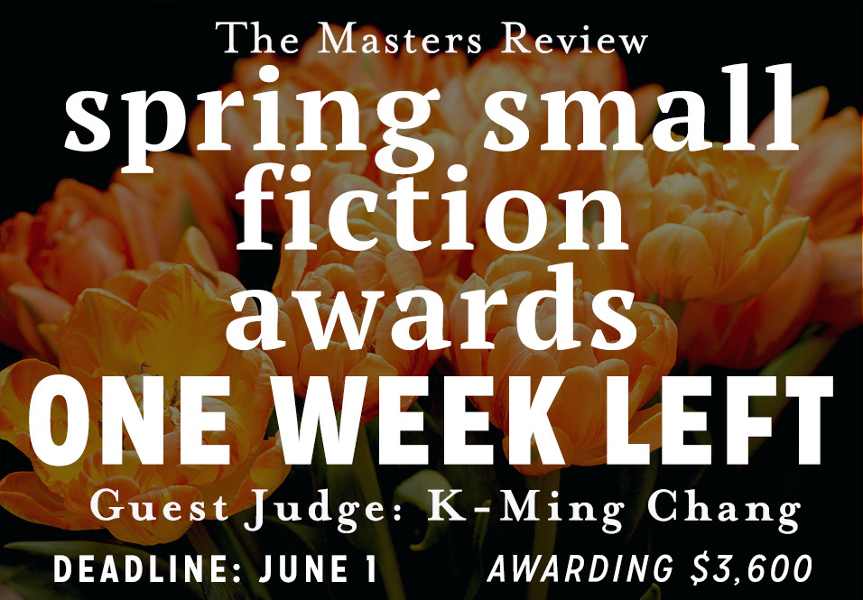 One Week Remains: The Spring Small Fiction Awards Close June 1st!