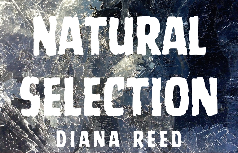 New Voices: “Natural Selection” by Diana Reed