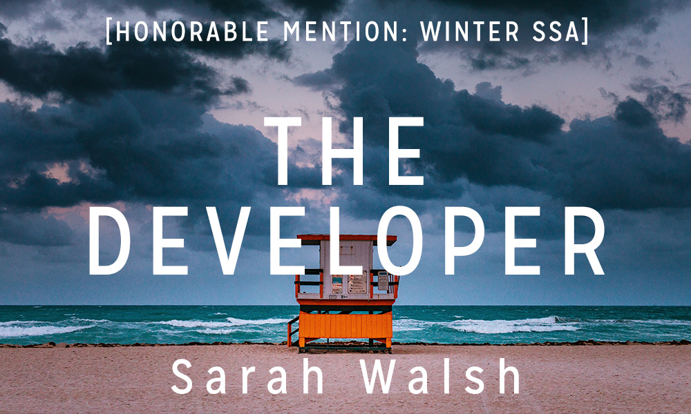 Winter Short Story Award Honorable Mention: “The Developer” by Sarah Walsh