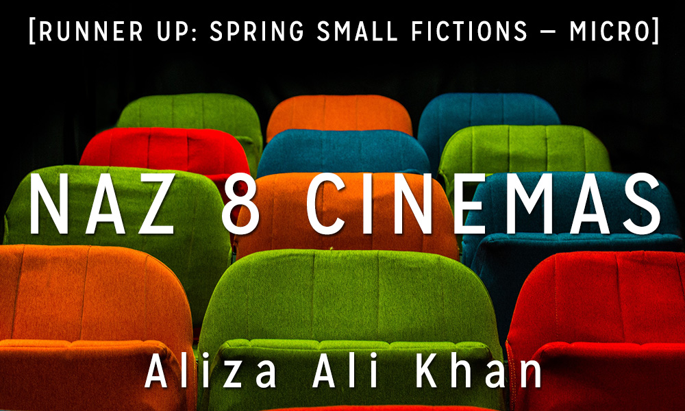 Small Fiction Awards Micro Runner-Up: “Naz 8 Cinemas” by Aliza Ali Khan