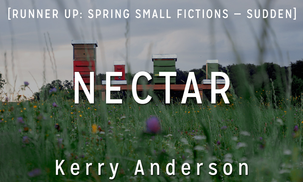 Small Fiction Awards Sudden Fiction Runner-Up: “Nectar” by Kerry Anderson