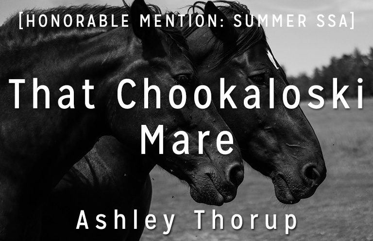 Summer Short Story Award Honorable Mention: “That Chookaloski Mare” by Ashley Thorup