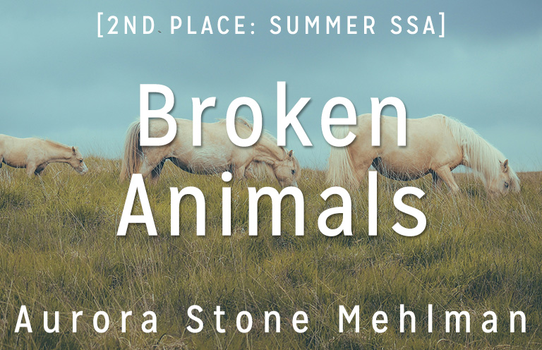 Summer Short Story Award 2nd Place: “Broken Animals” by Aurora Stone Mehlman