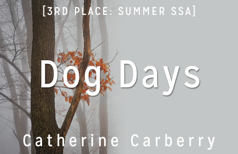 Summer Short Story Award 3rd Place: “Dog Days” by Catherine Carberry