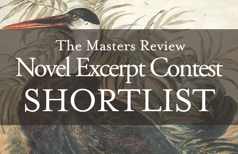 2023 Novel Excerpt Contest Shortlist!